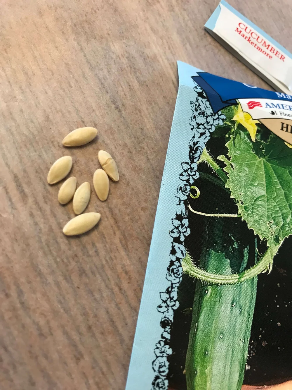 Plant Smarter, Not Harder Starting Cucumber Seeds Indoors the Easy Way