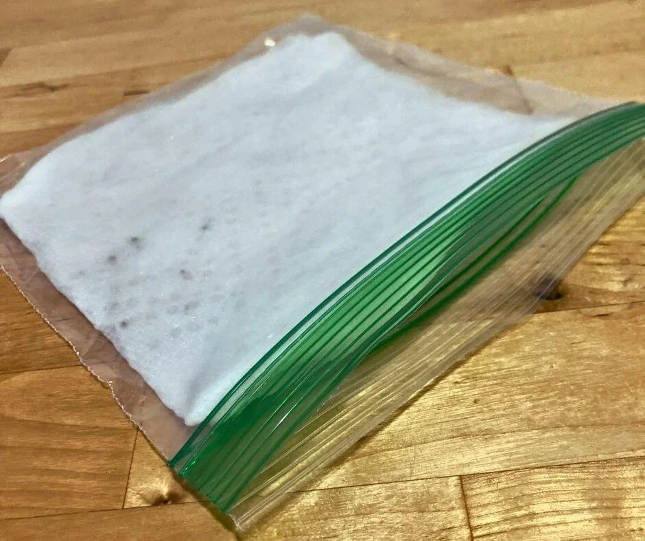 The MustKnow Guide to Germinating Seeds with Paper Towels — Gardening