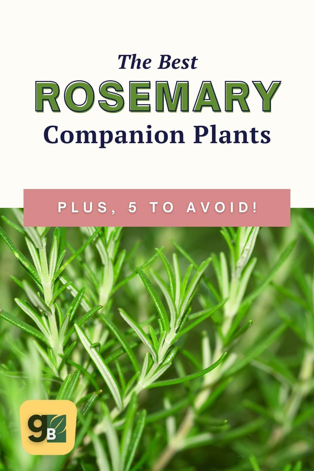 The Ultimate Guide to Rosemary Companion Plants — Gardening, Herbs