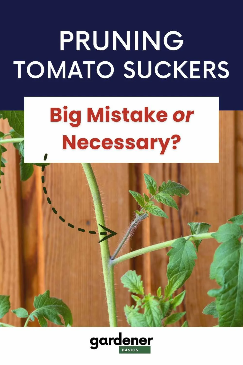 pruning tomato suckers yes or no