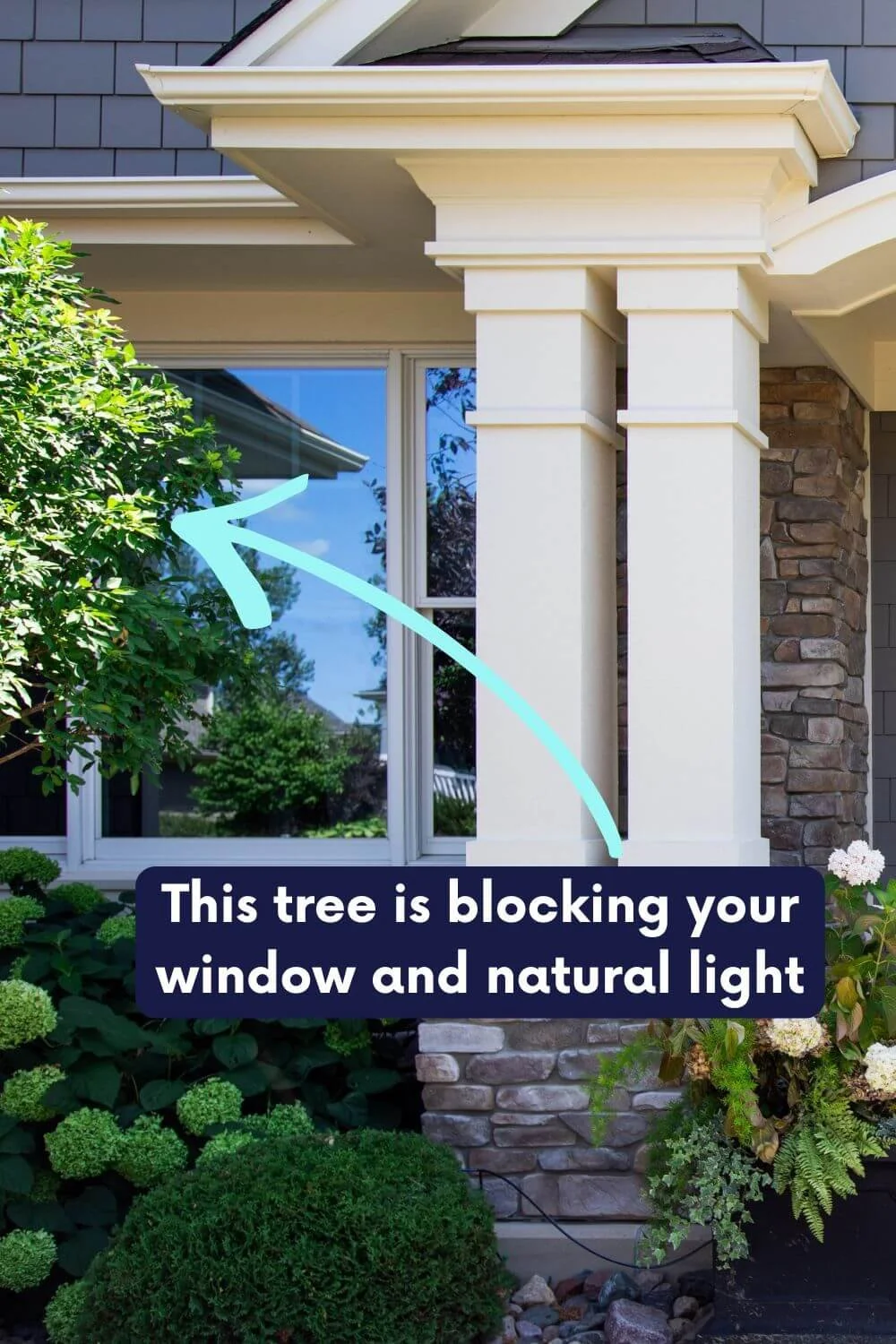 Incorrect foundation planting