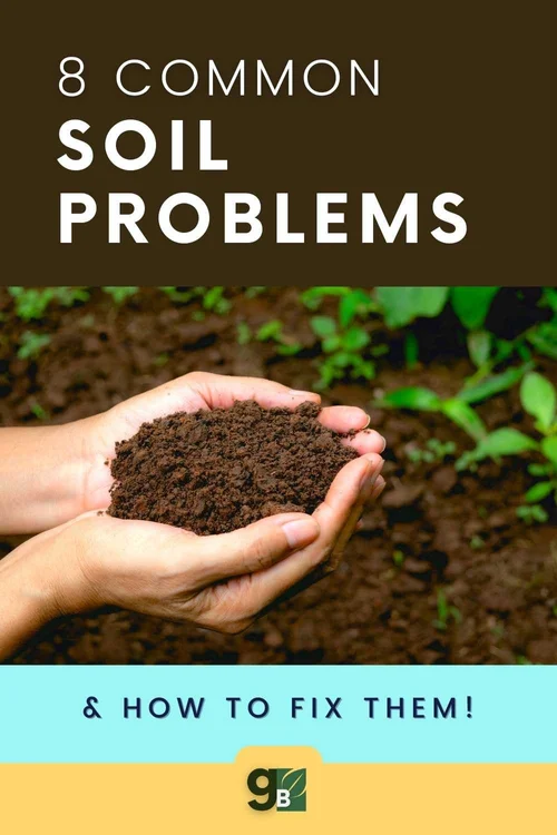 8 Common Soil Problems and Solutions What to Do When Your Garden is