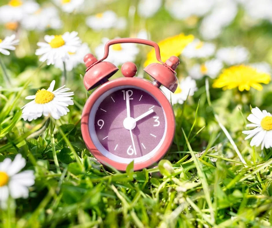 Gardening tips for busy homeowners