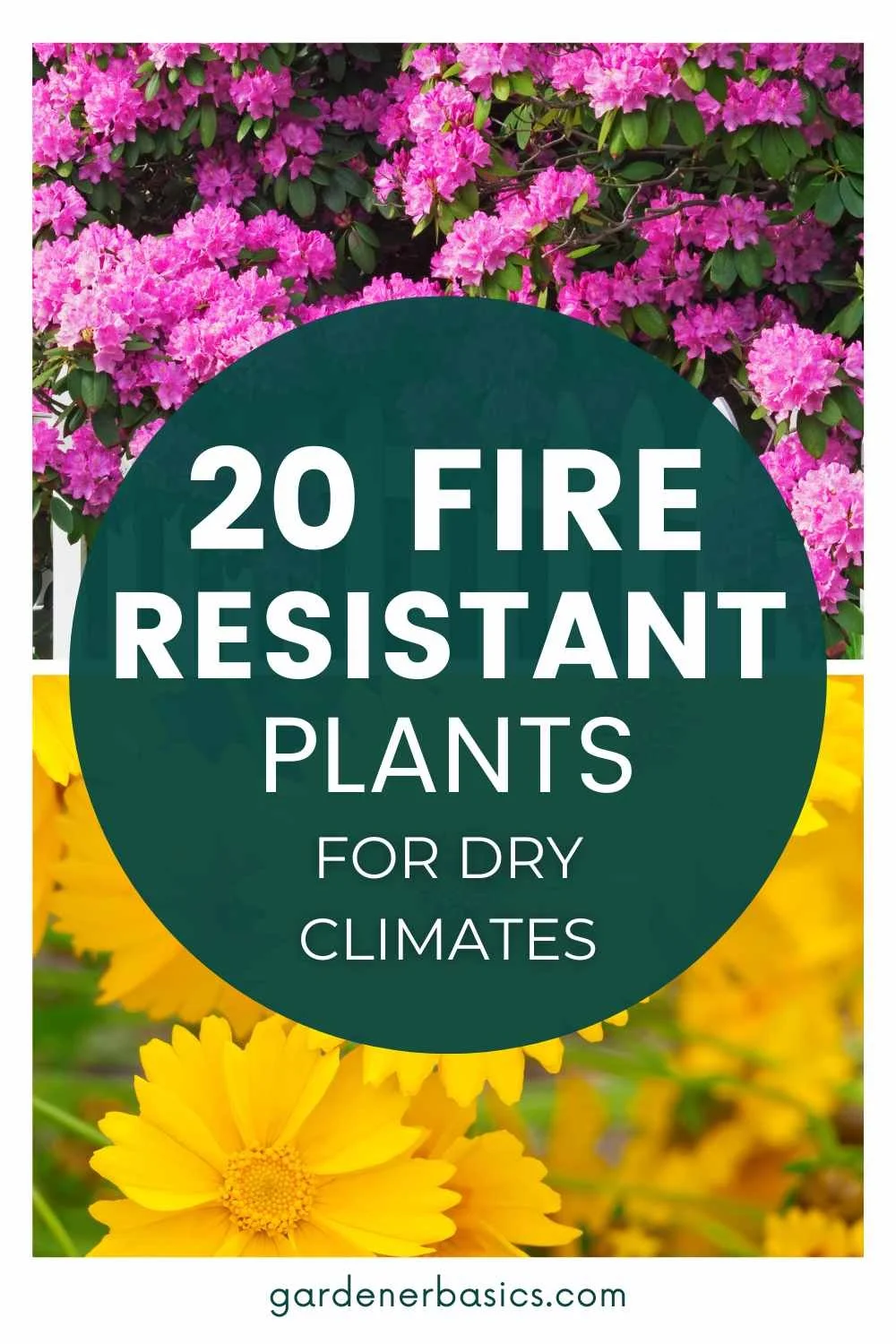 fire resistant plants for dry climates