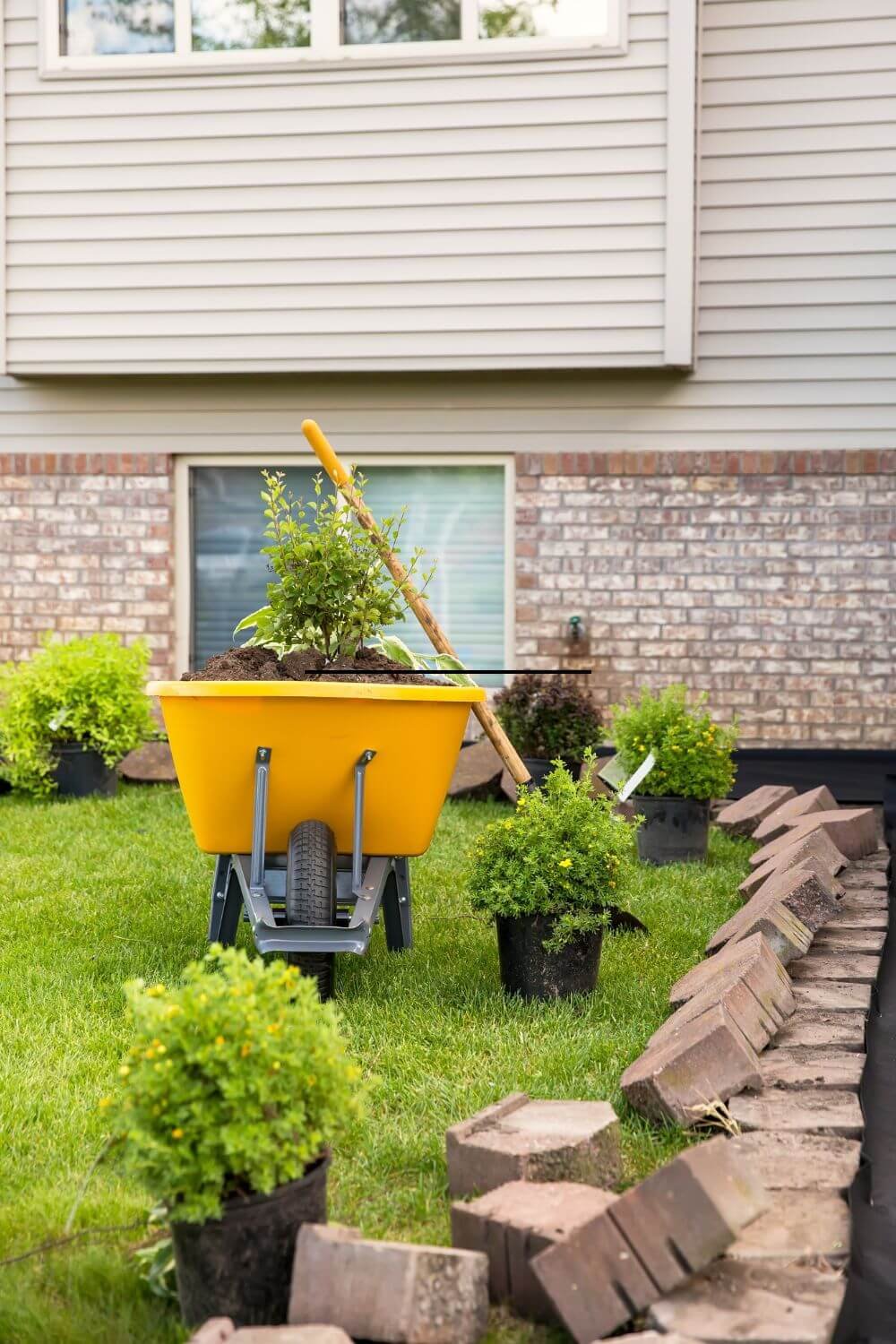 Plan before planting