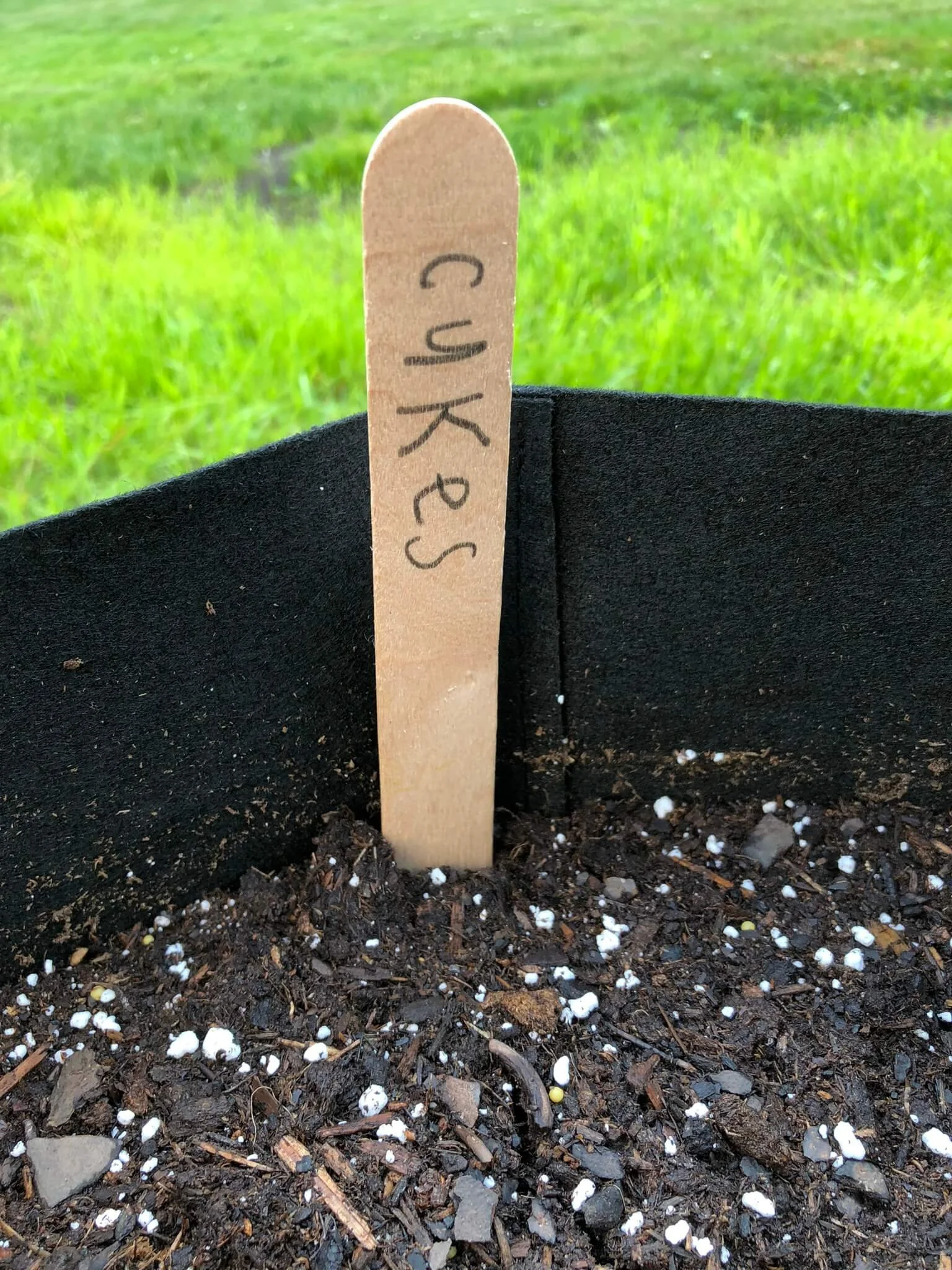 How to Grow Cucumbers in Grow Bags A Beginner's Guide — Gardening