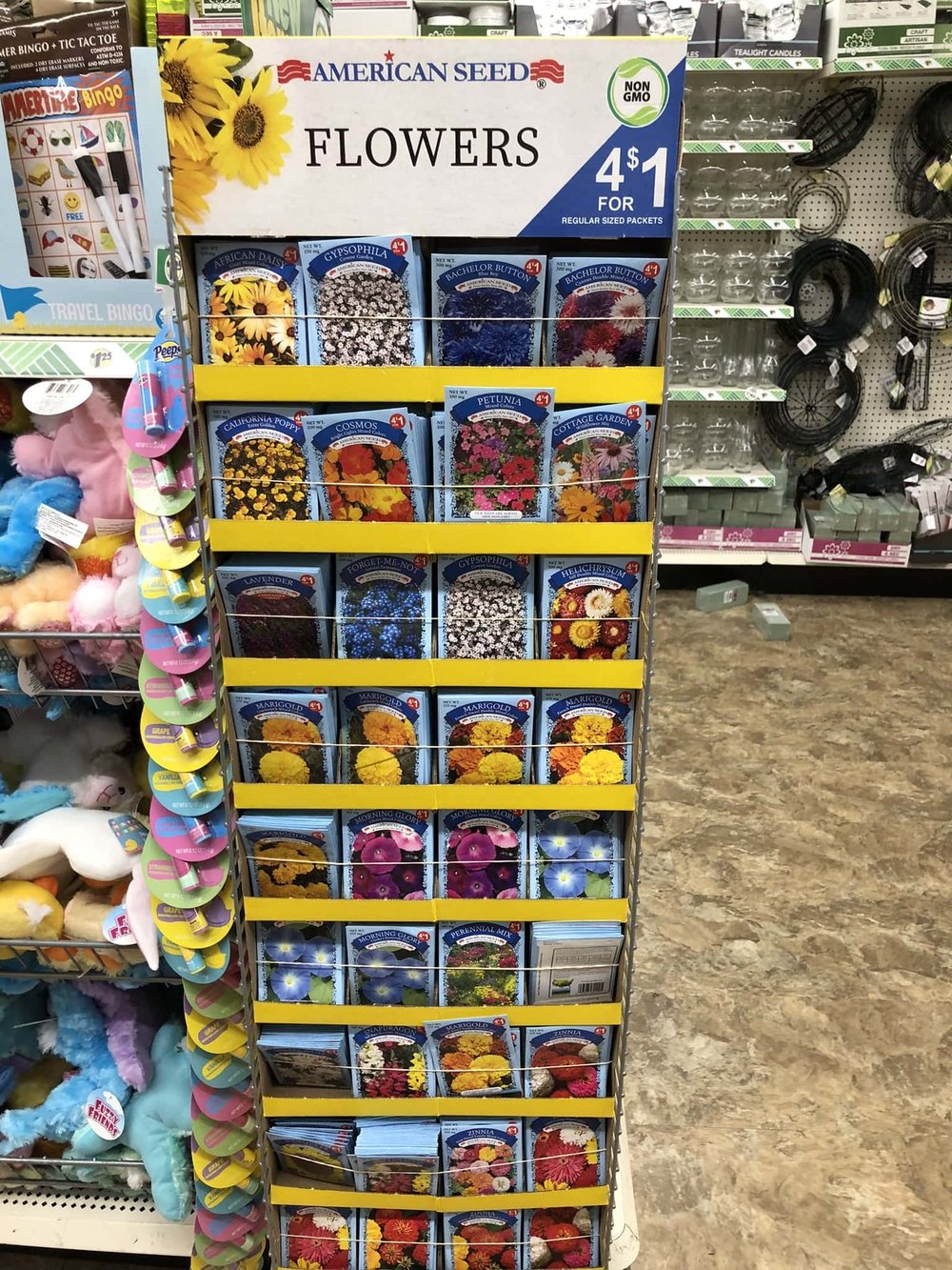 Dollar Tree Garden Supplies The Best Deals — Gardening, Herbs, Plants, and Product Reviews