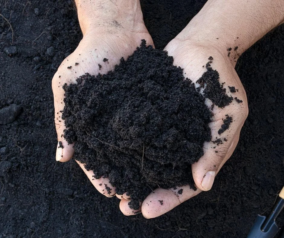 Soil 101: Identifying Your Garden's Soil Type