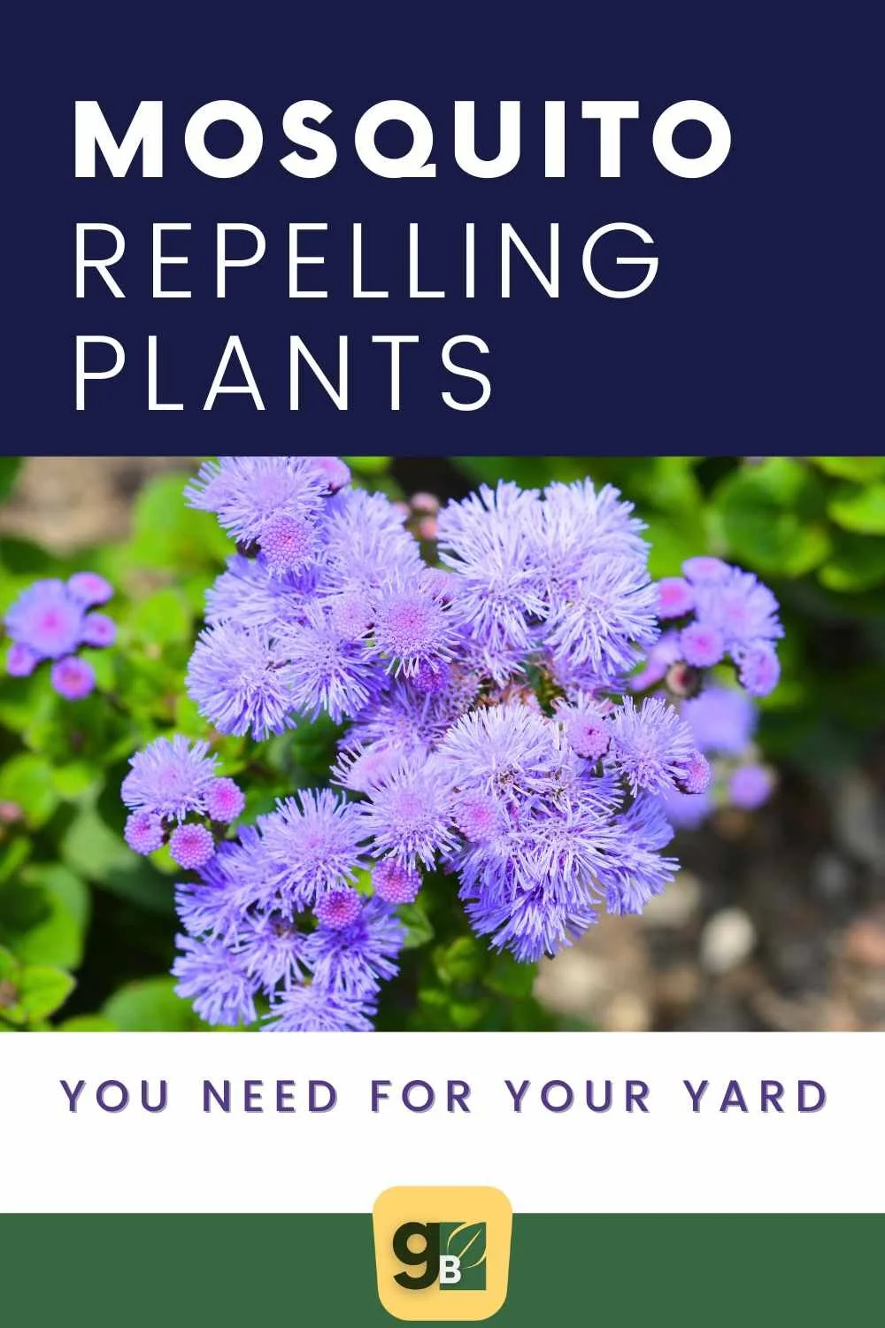 mosquito repelling plants