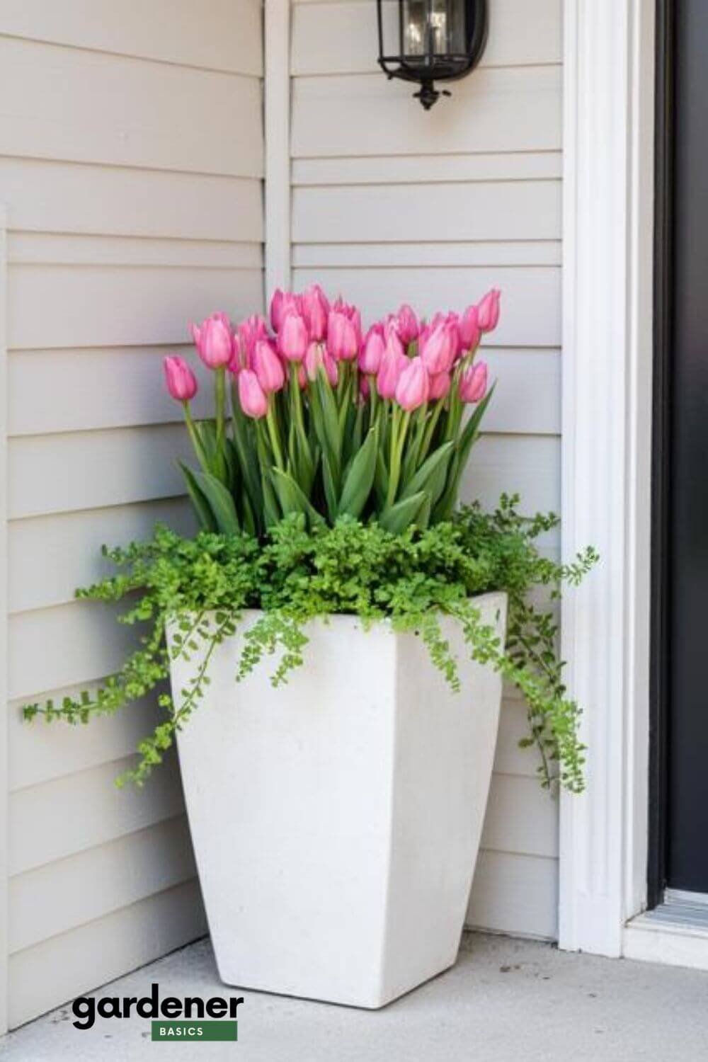 Statement Planter