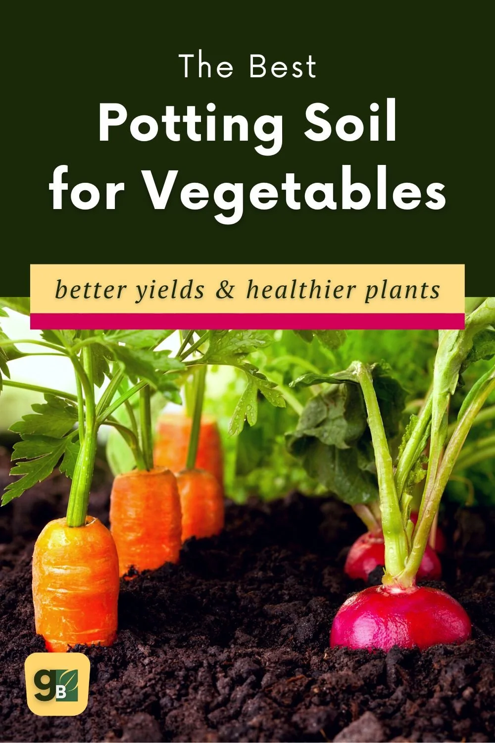 The Best Potting Soil for Vegetables A Gardener’s Guide