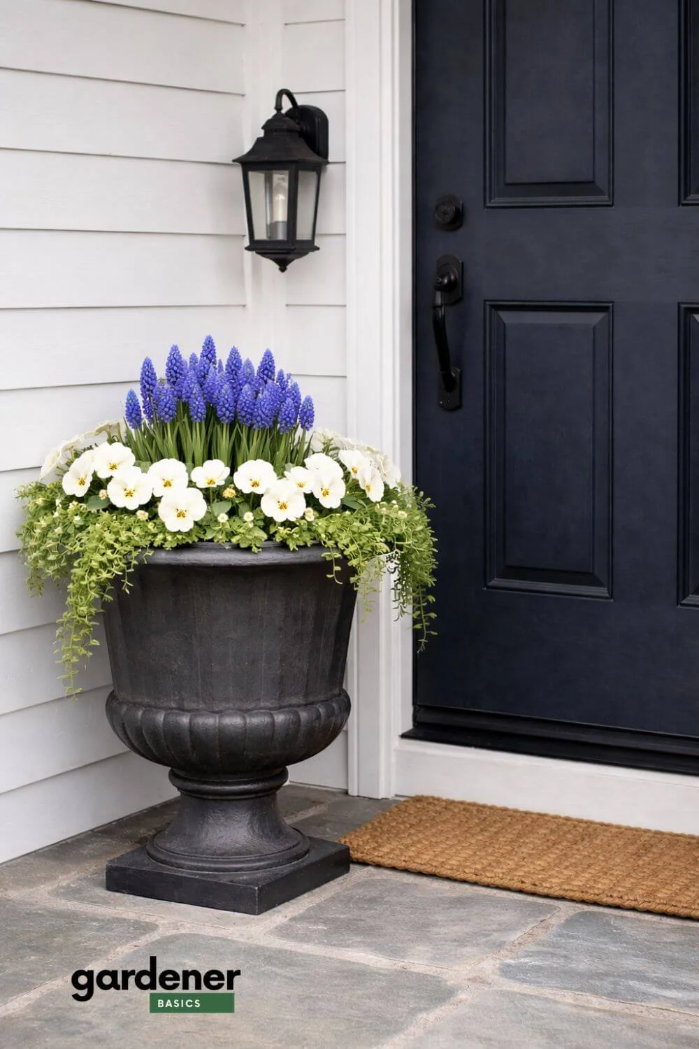Early Spring Porch that Survive Frost