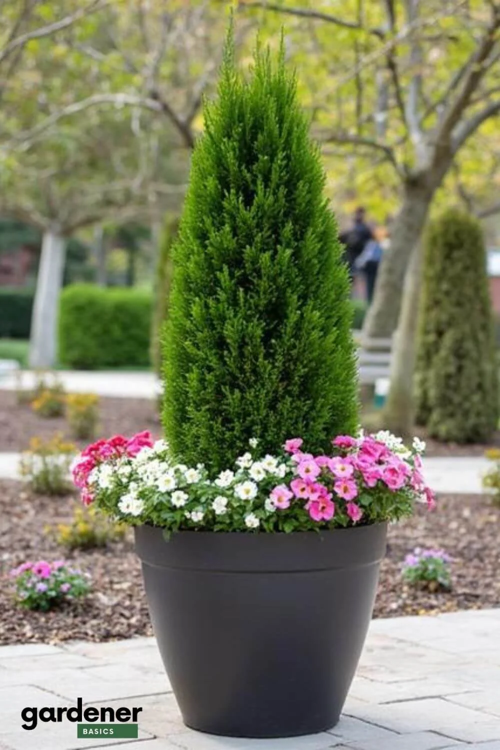 Evergreen with Season Flowers