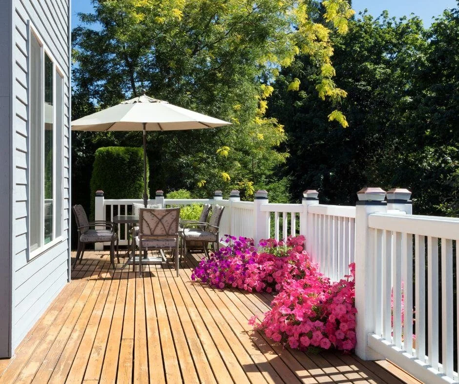 annuals for patios and decks