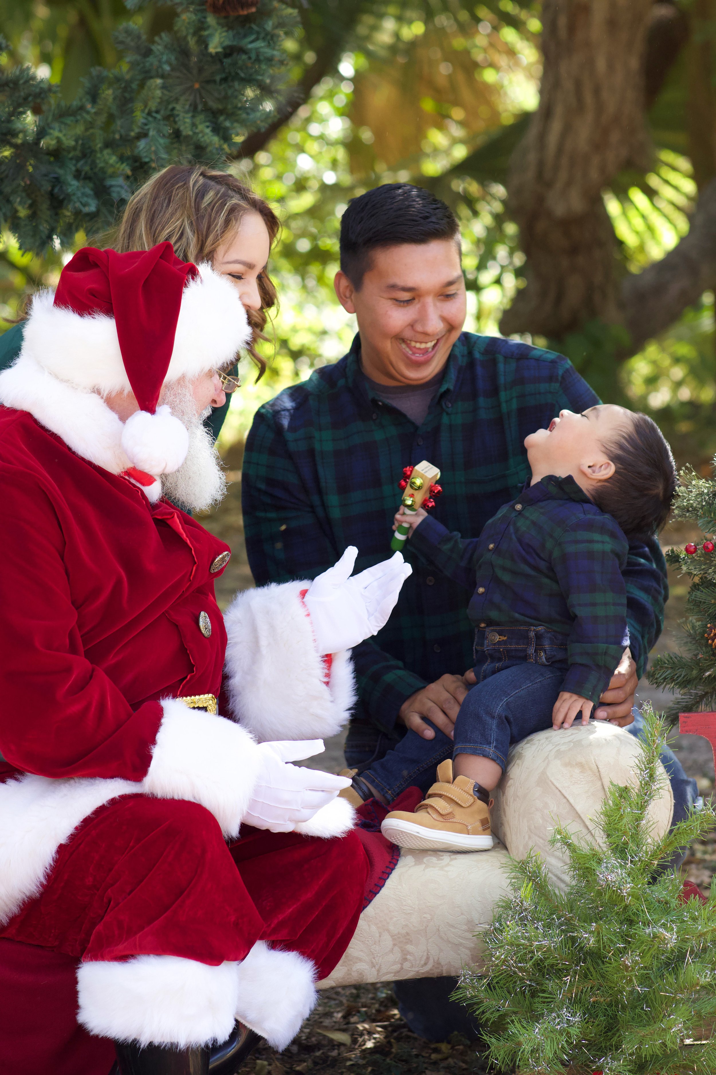 6xmas.jpg