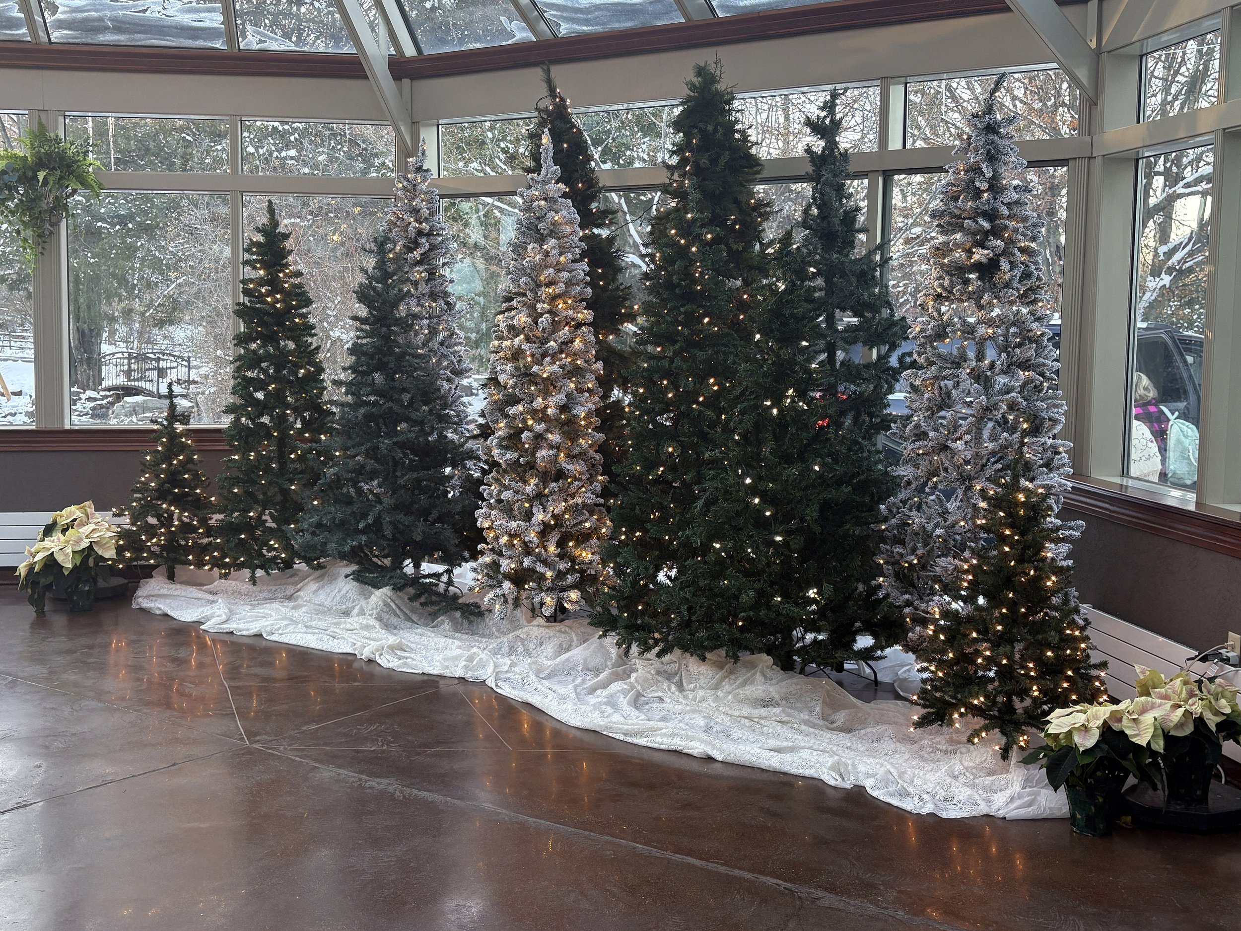 winter Atrium lighted trees_7326[1].jpg