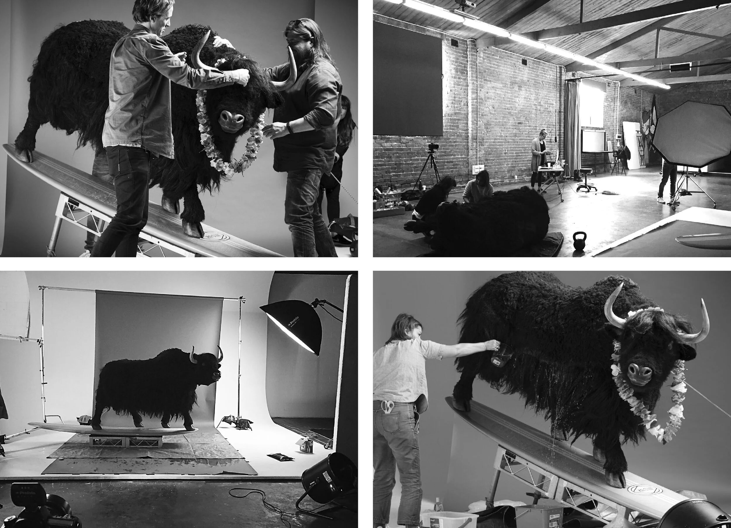 99Productions_production_casting_photography_Wild Yak_96dpi_2.jpg