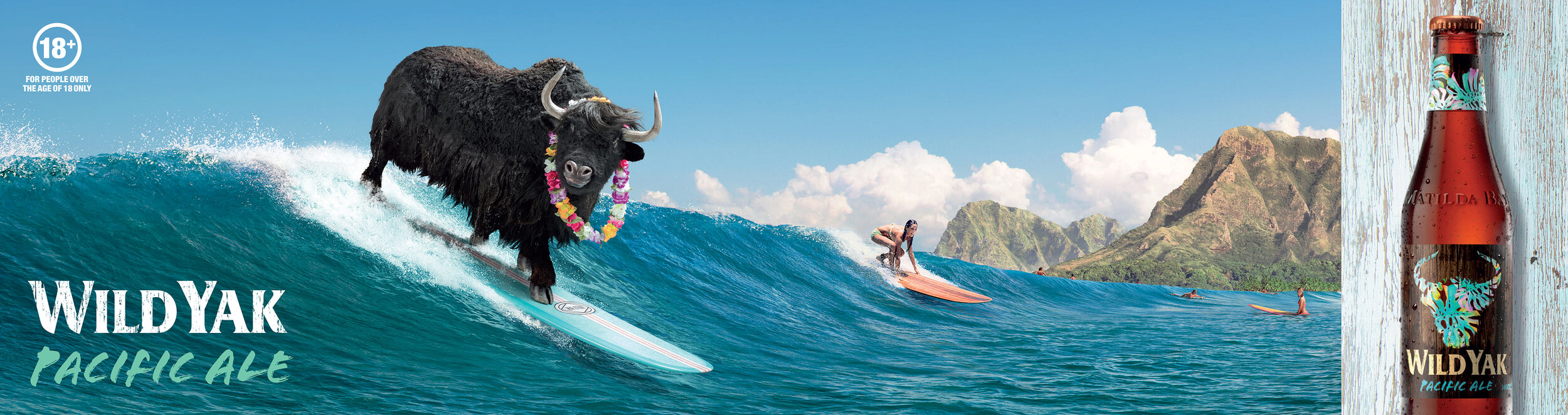 CUB8177_Wild Yak_Surfboard__100.jpg