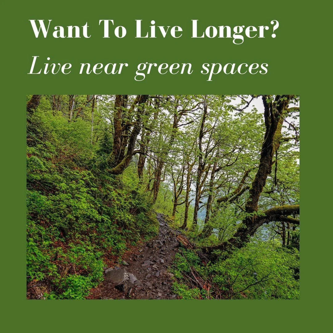 Want to live longer? Live near green spaces
If you want to live longer, live and work around green spaces. 
Here are some amazing benefits of plants:
1. Looking at trees and plants is known to stress causing cortisol in our blood. 
2. Touching plants