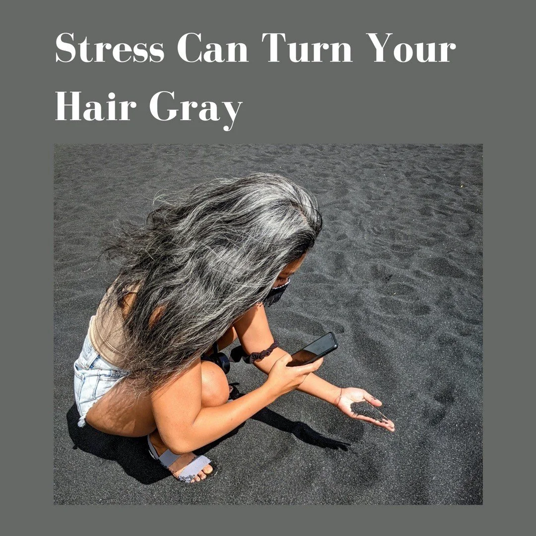 Stress Can Turn your Hair Gray 
I thought it was just my imagine, that more gray I was getting more gray hair in the last 15 months than in previous years. 
Then I discovered researchers found that mice in, stressful situations damaged the stem cells