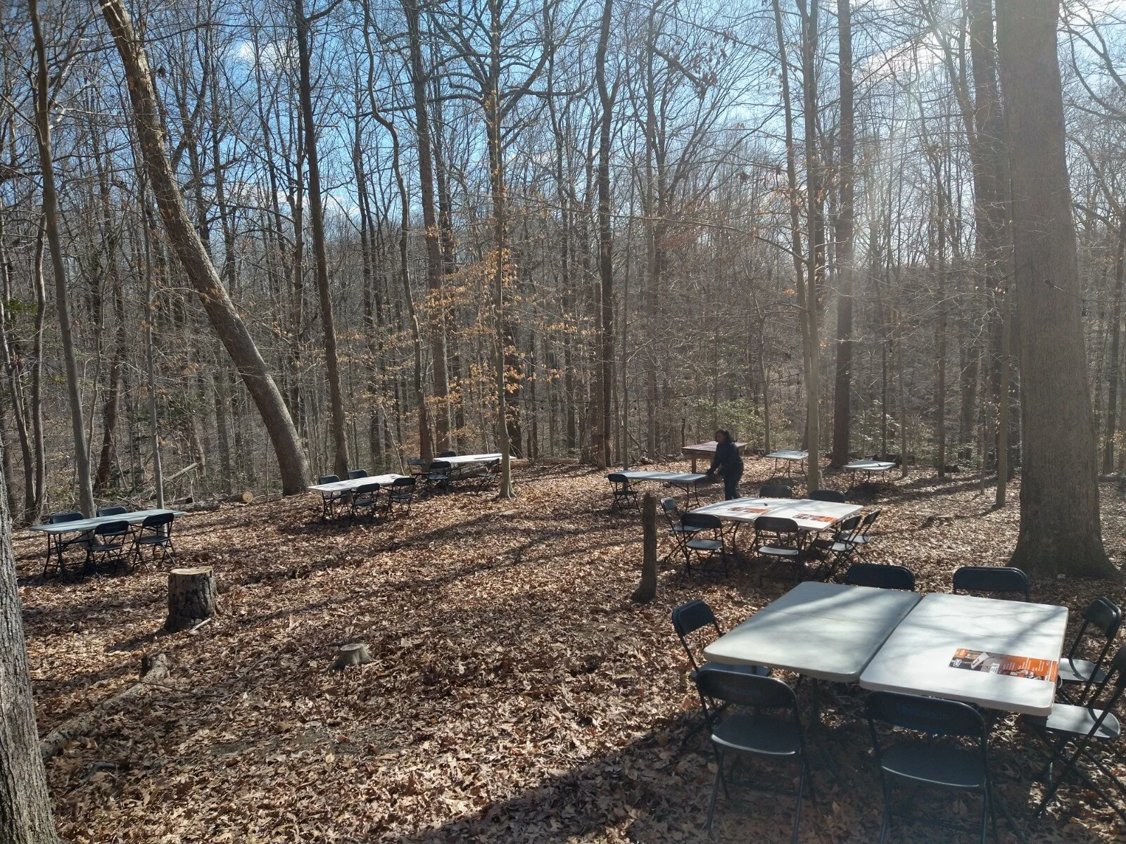 Honey Bee Event Space (1 A)