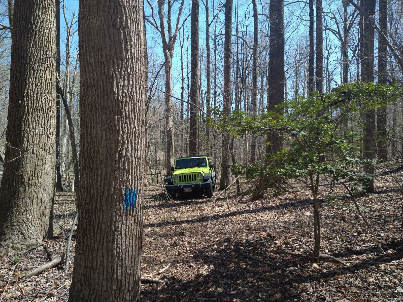 MarCart Campsite # 2 | Drive Up Site