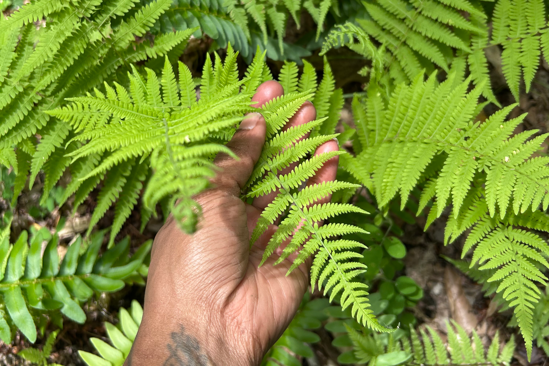 Spring Cleaning Volunteer Day