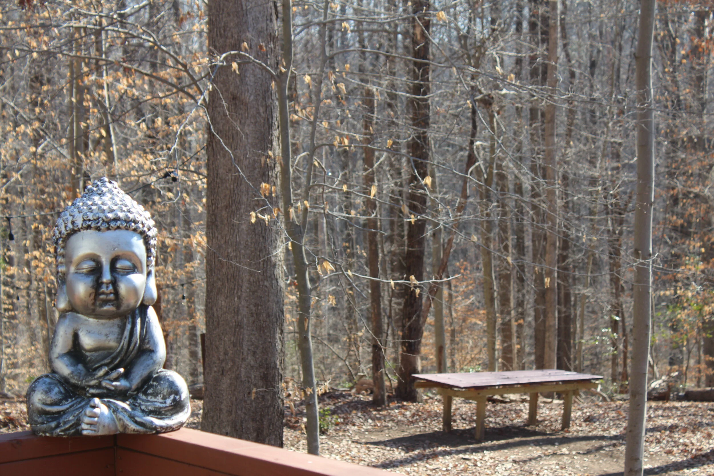 Honey Bee Campsite # 1