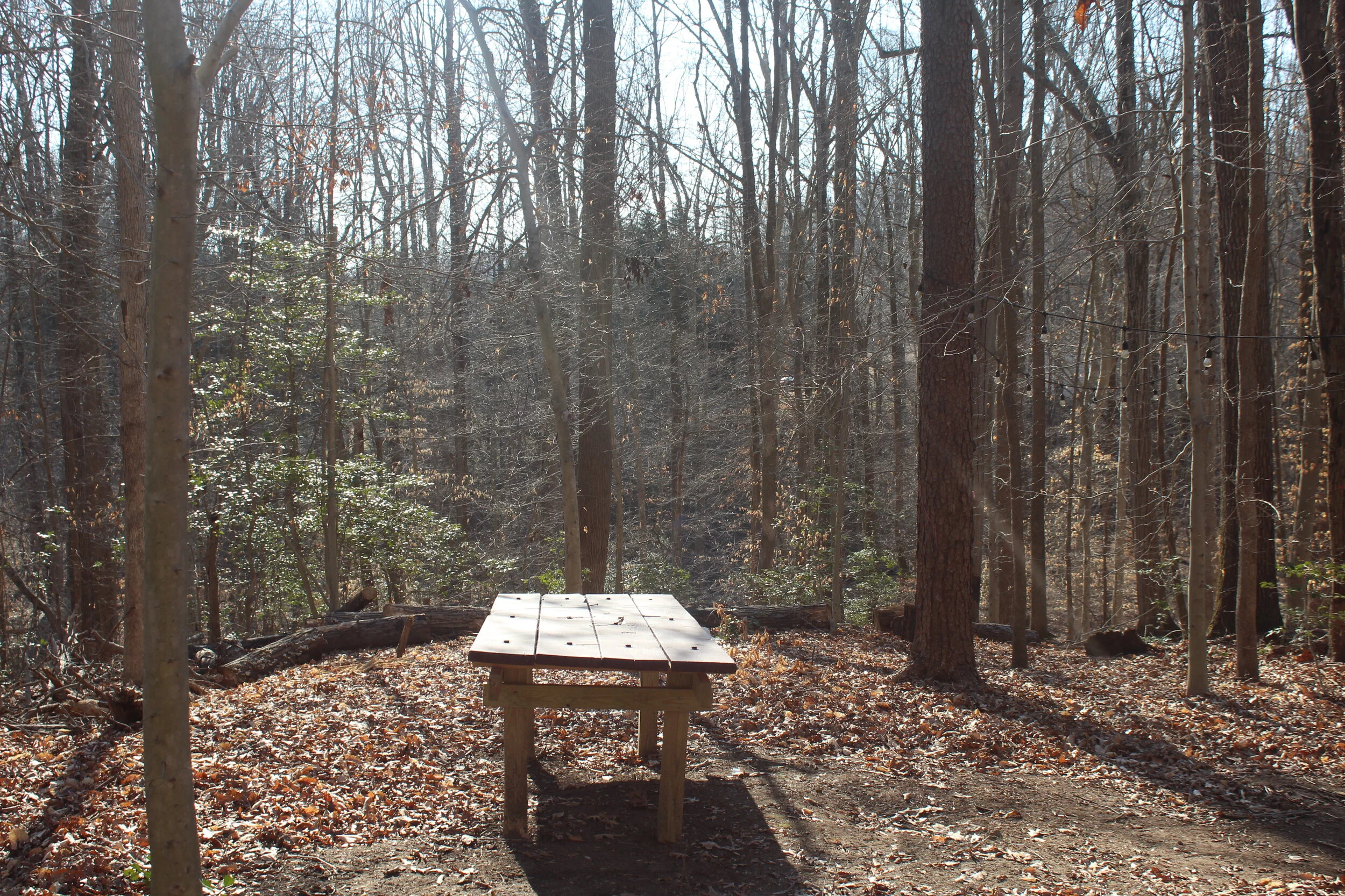 Honey Bee Campsite # 1