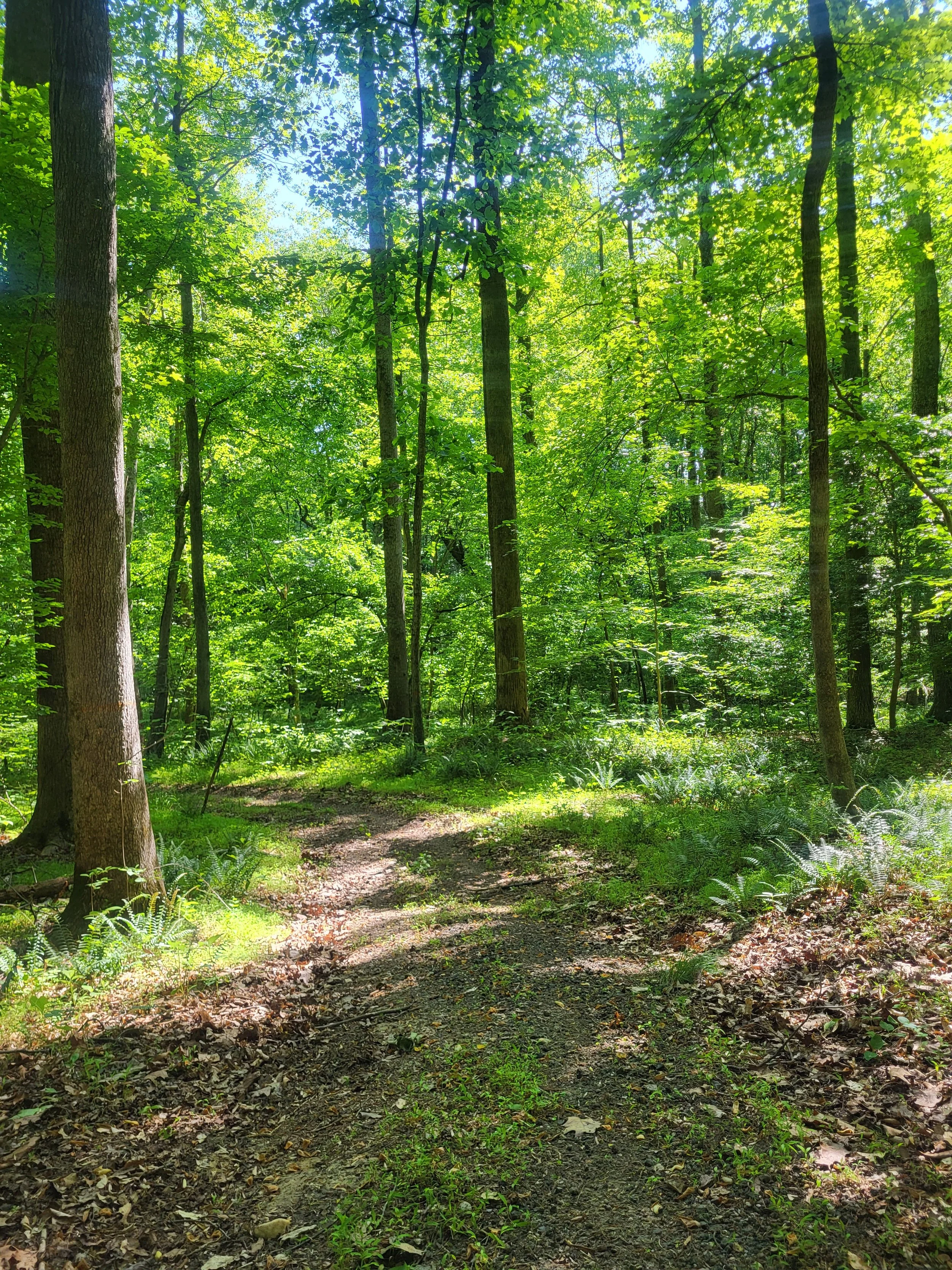 20230518_095423 (1).jpg