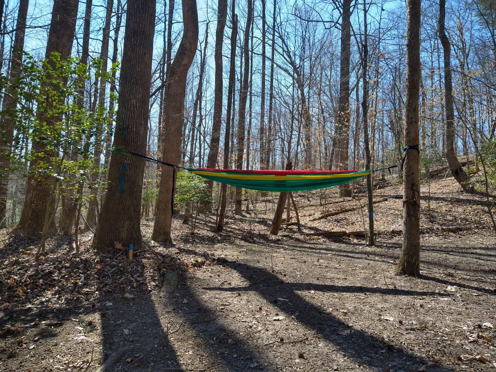 Hammock Lane