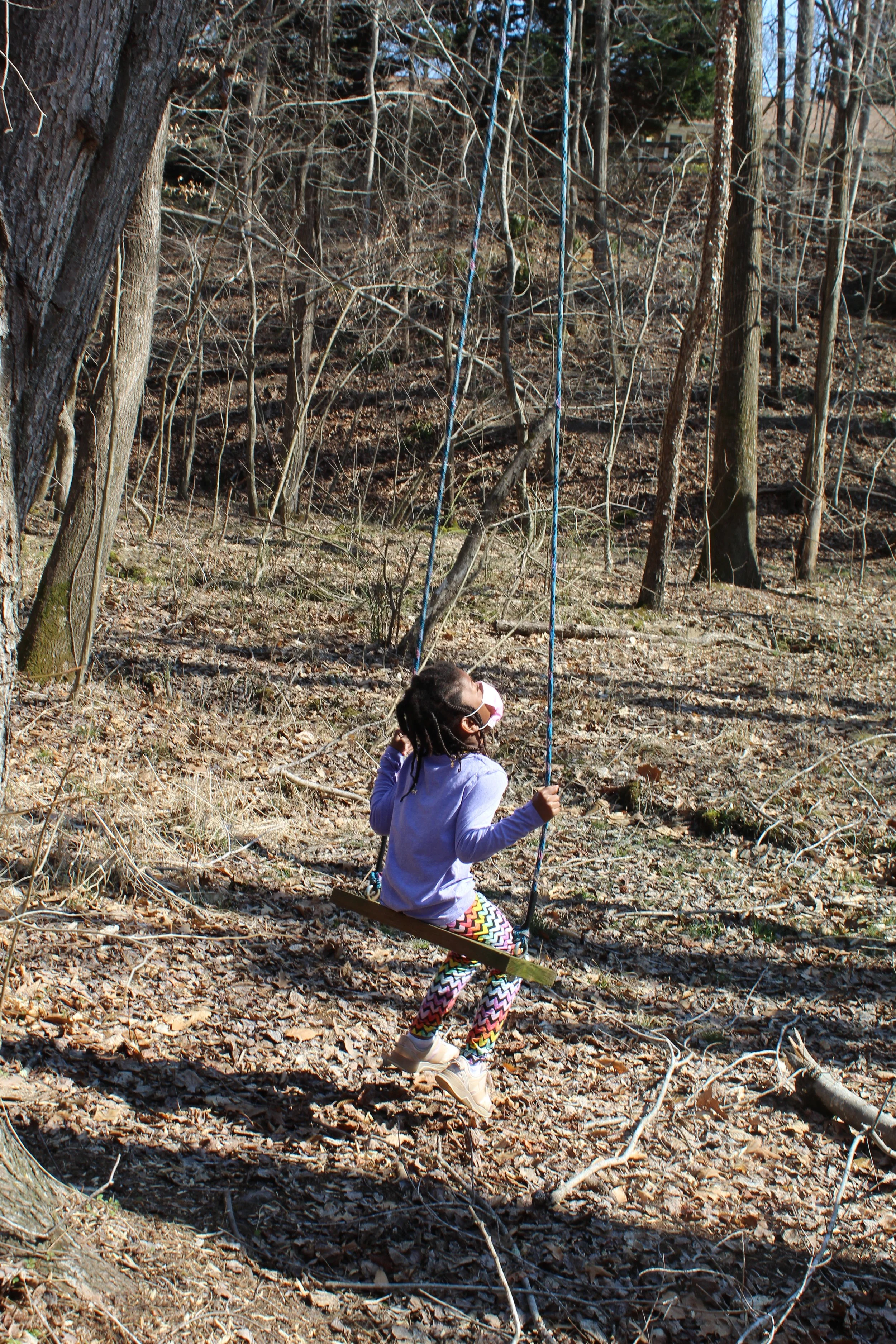 Humming Bird Campsite 