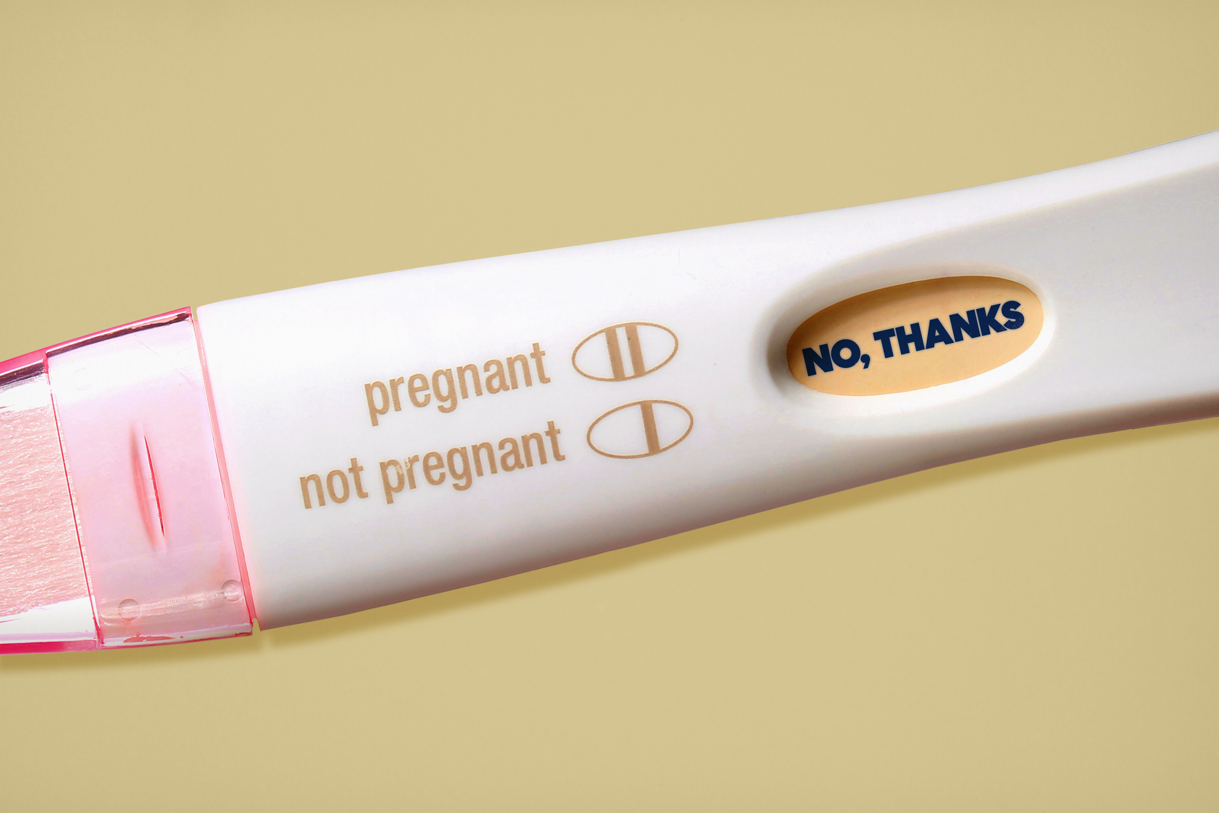 It's getting ugly between 'breeders' and 'childless cat ladies'