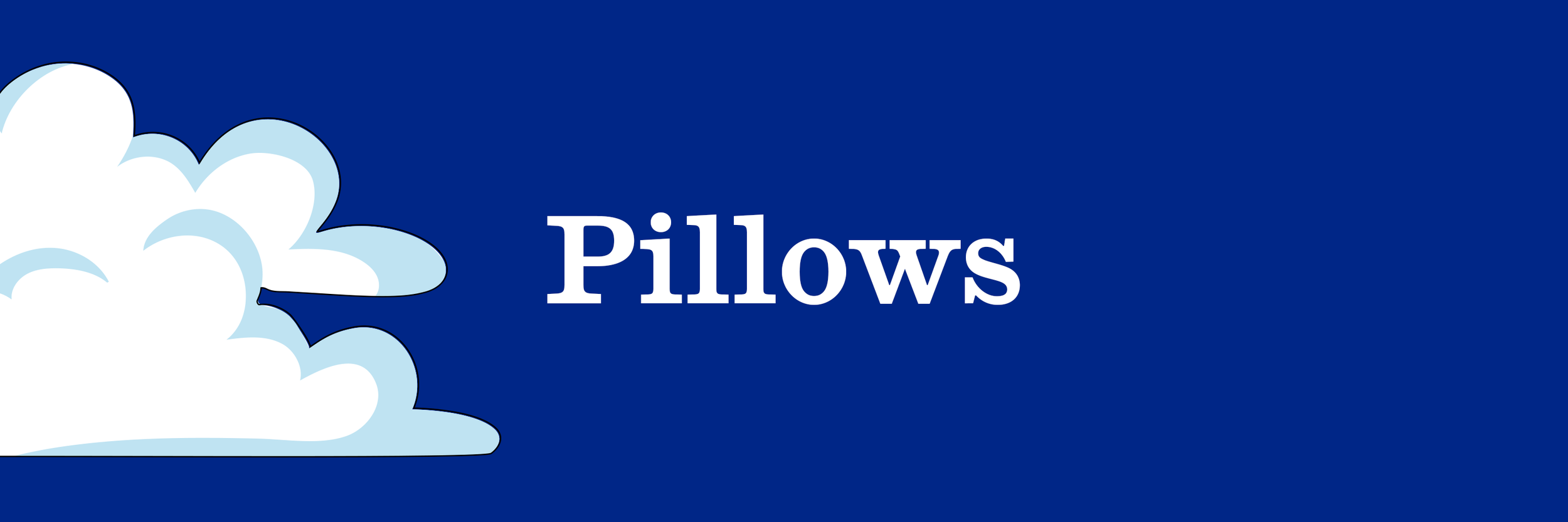 SECTION HEADER PILLOWS.png