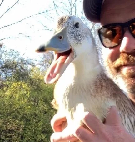 Store 2 — Longbottom Bird Ranch