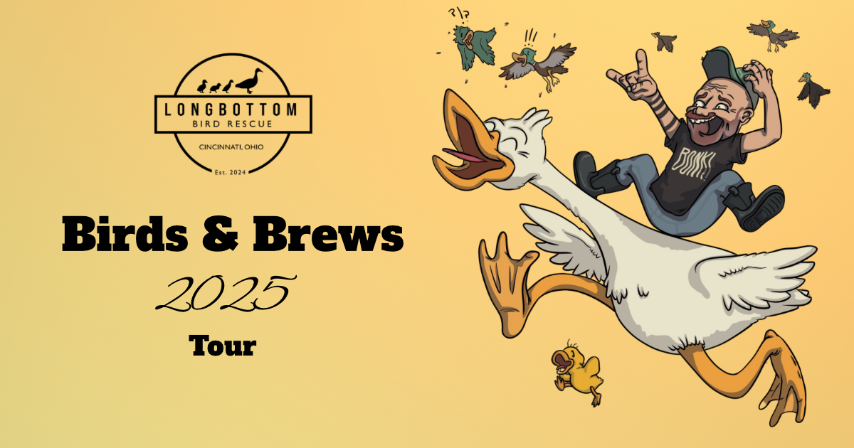 Birds& Brews: Gilligan’s Brewery
