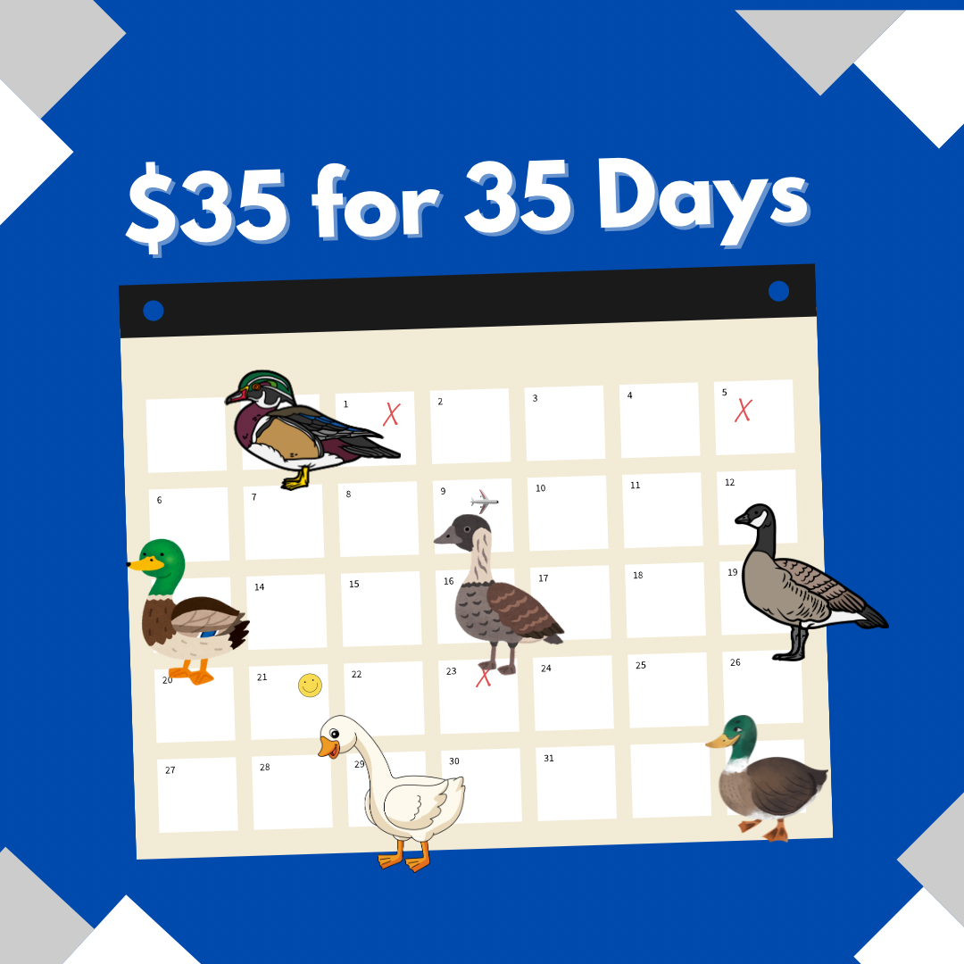 calendar.png