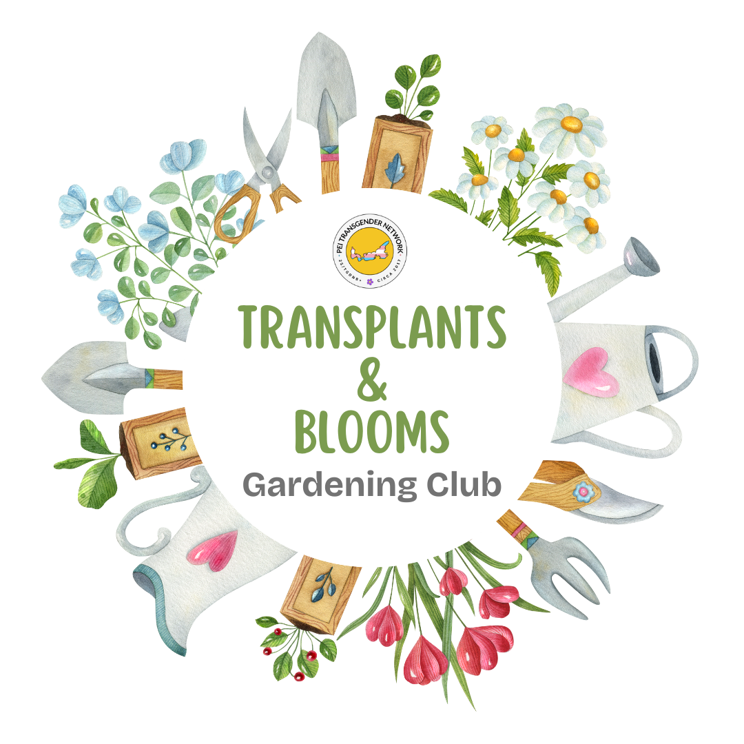 Planting Day at the Garden Plot! Transplants &amp; Blooms Garden Club