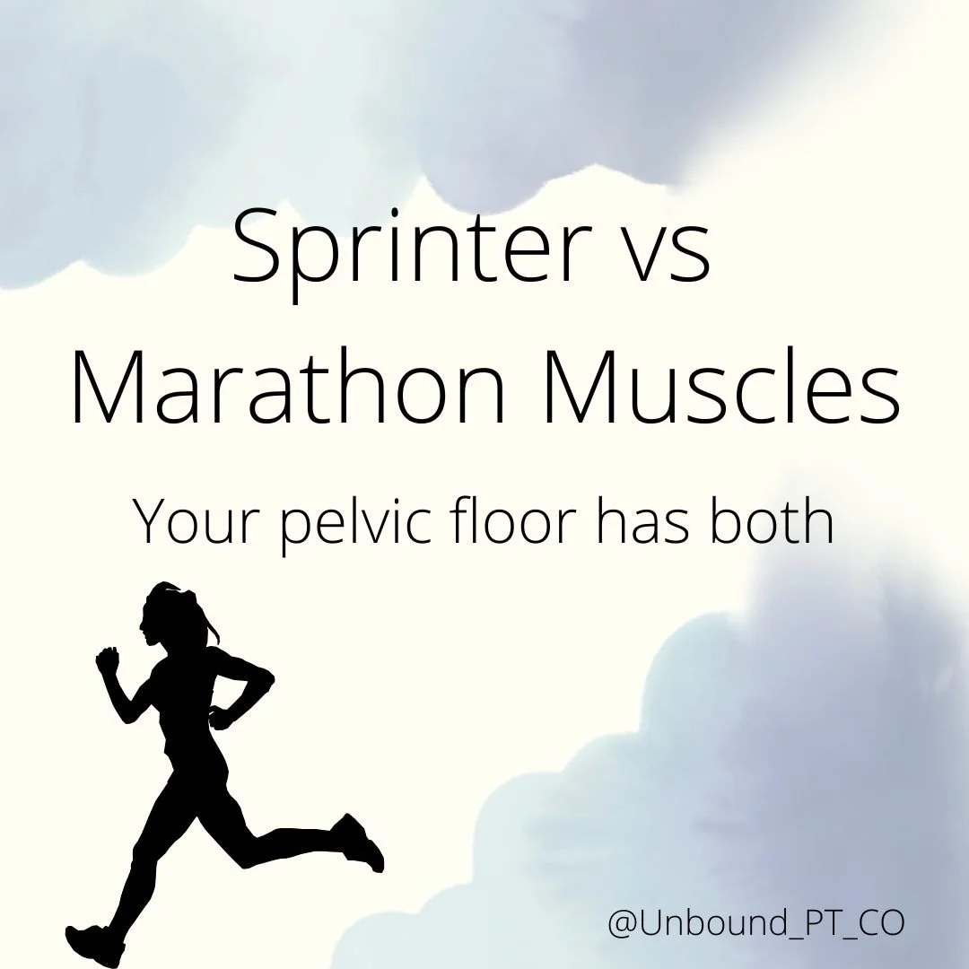 Your pelvic floor isn&rsquo;t just one muscle.

It&rsquo;s a group of muscles that contain different types of muscle fibers &mdash; and they don&rsquo;t all do the same job.

Some fibers are more like sprinters (fast-twitch).
They kick in quickly whe