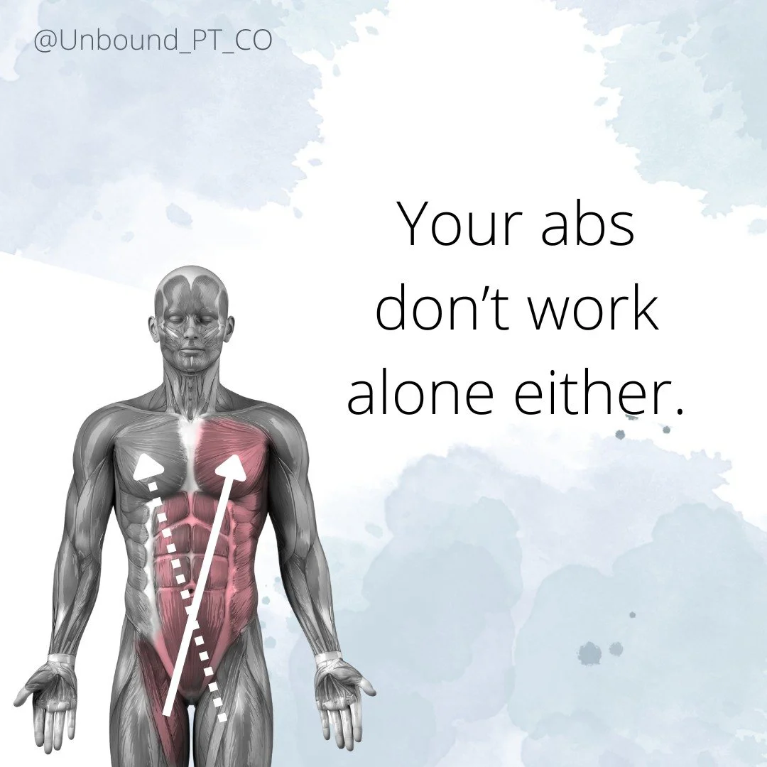 If you&rsquo;ve ever been told to &ldquo;engage your core,&rdquo; this one&rsquo;s for you.

Your anterior oblique sling connects:
&bull; one side of your abdominal wall
&bull; to the opposite inner thigh (adductor)
&bull; through connective tissue a