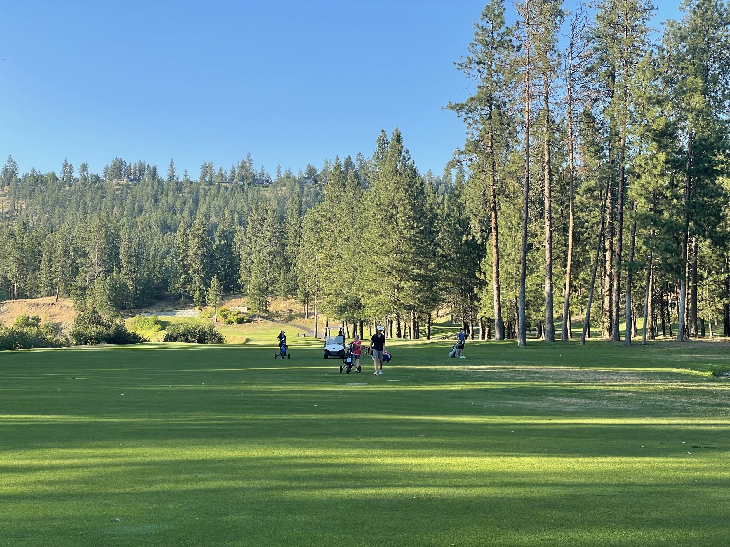 People playing golf on a lush green golf course surrounded by tall pine trees with mountains in the background under a clear blue sky.