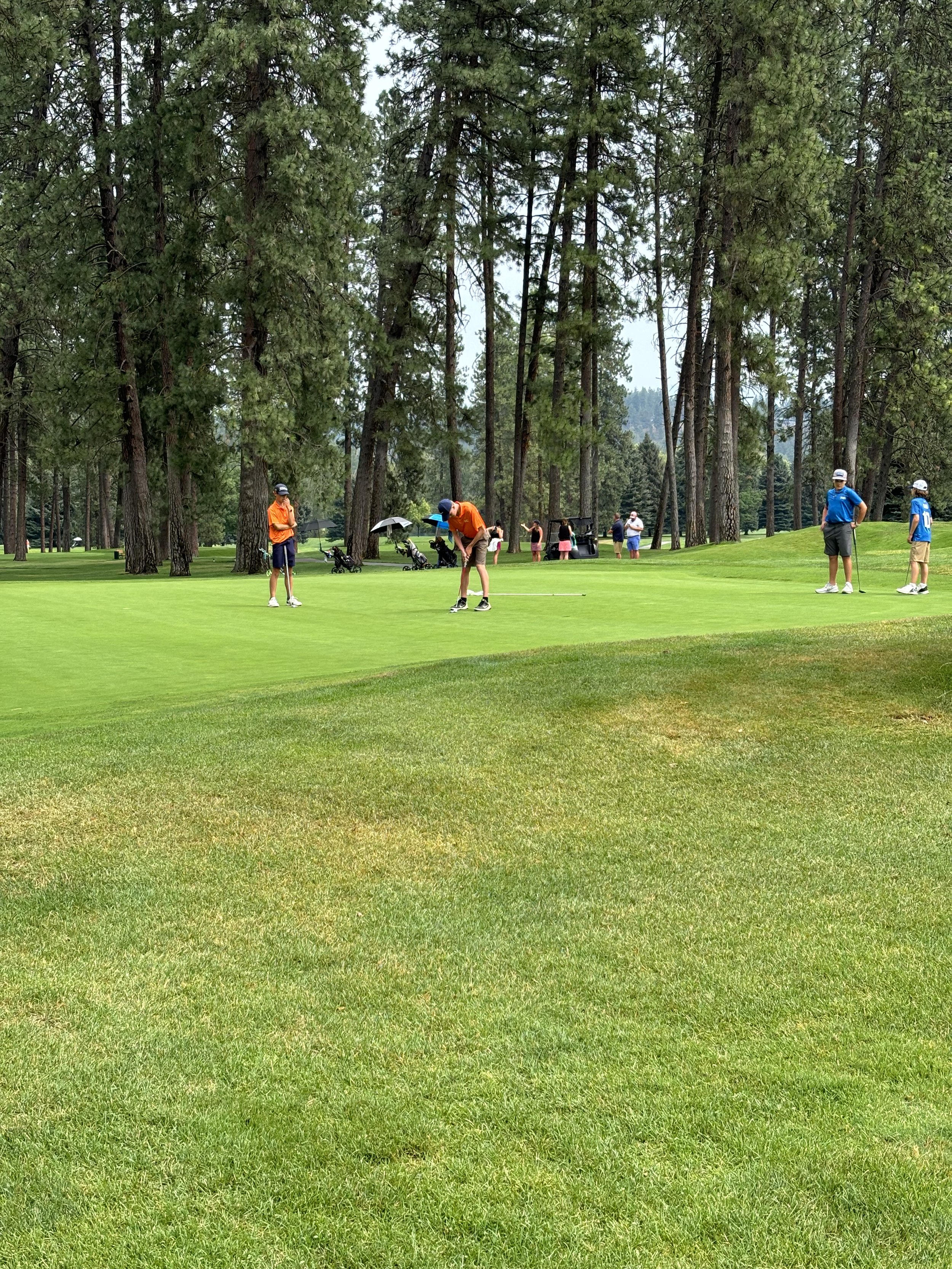 Group of people playing golf on a lush green golf course with tall trees in the background.