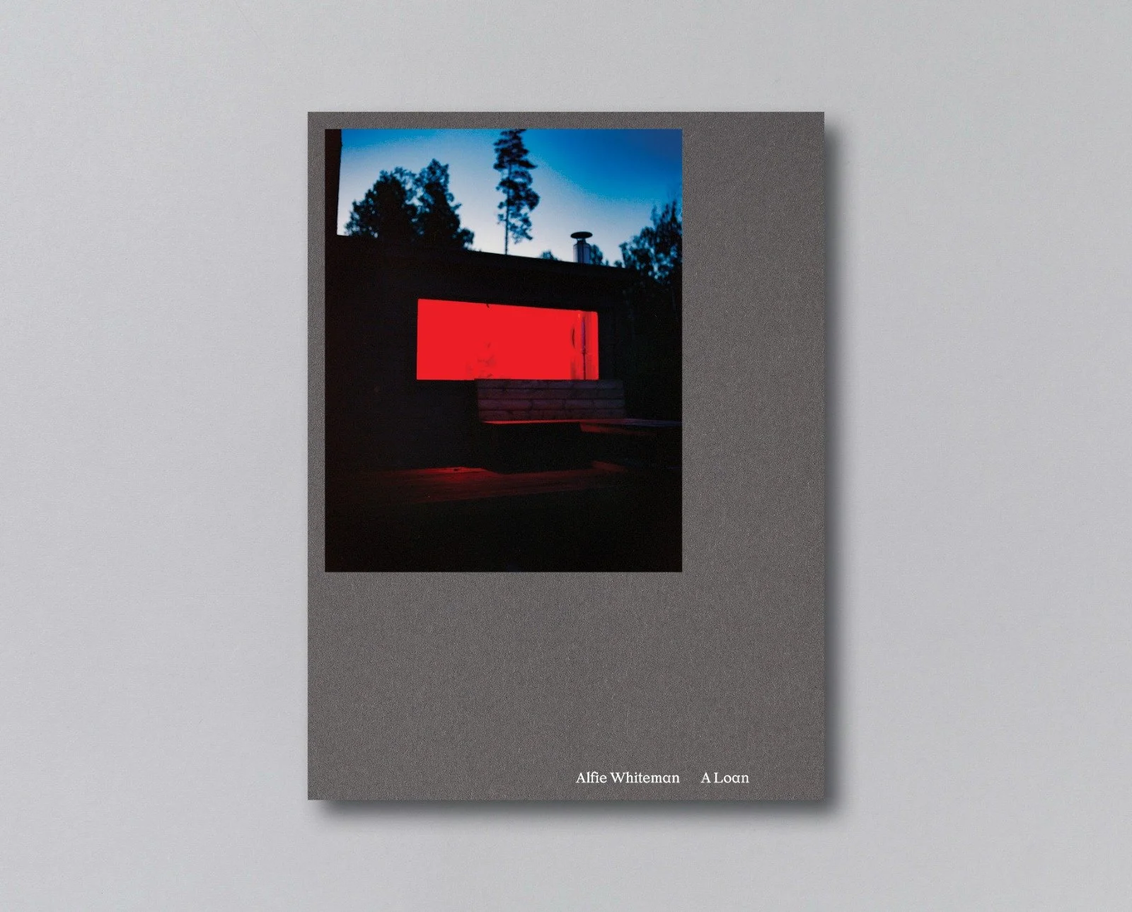 Alfie Whiteman A Loan. . Copyright the Artist. Courtesy OOF Gallery.jpg