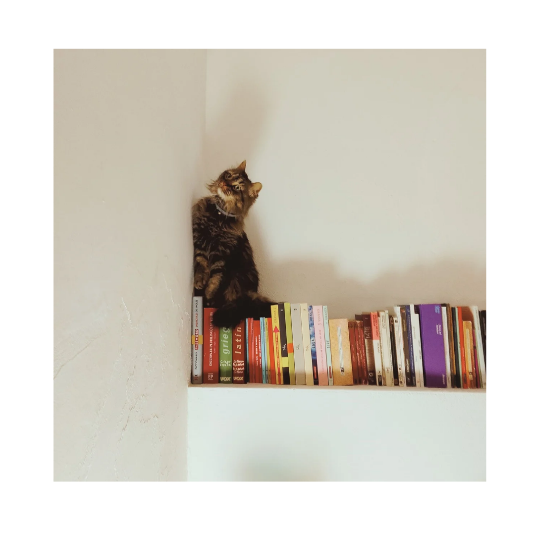 Enero en Belmonte_20250122_165352_0000.png