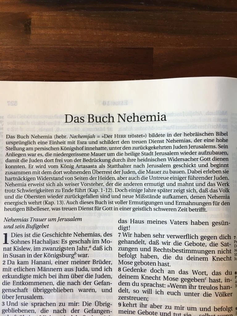 Jonas Bültemann, Gemeinsam das Reich Gottes bauen (Nehemia 3-4)