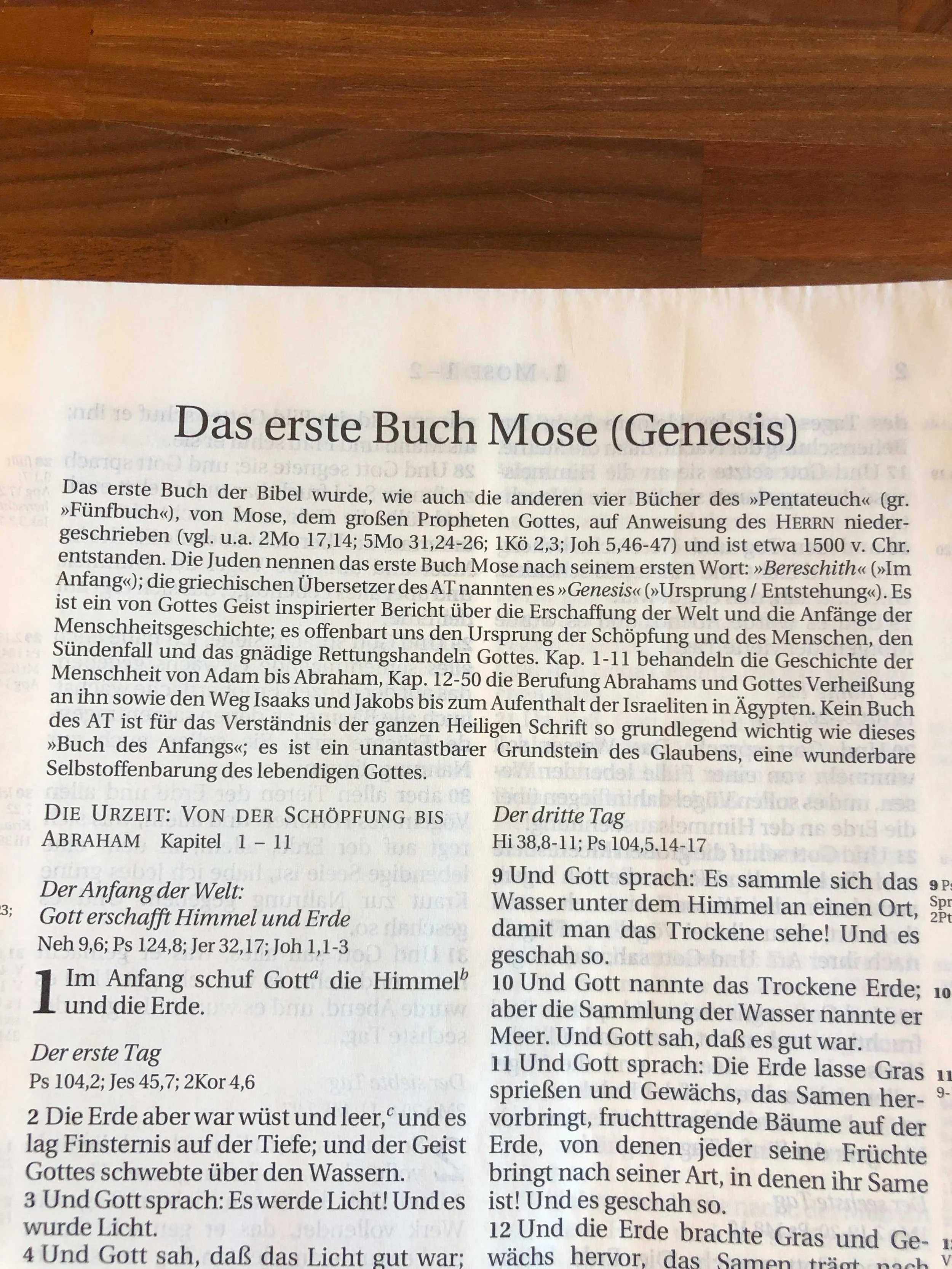 Jonas Bültemann, "I did it, I did it my way" (1. Mose 3,1-7)