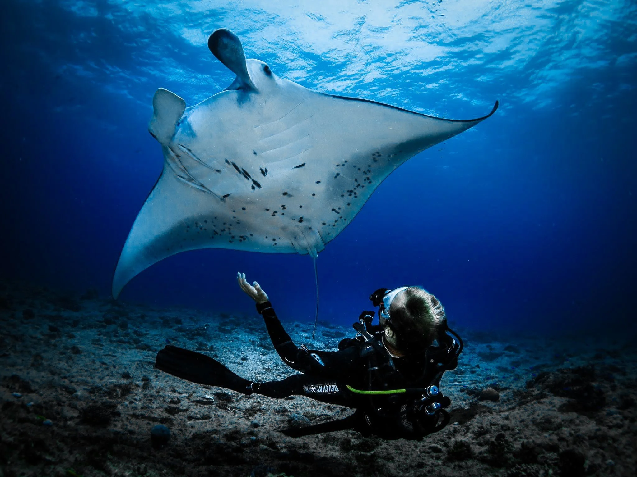 Week End Lagon Sud &amp; observations des baleines du 17-19 Juillet