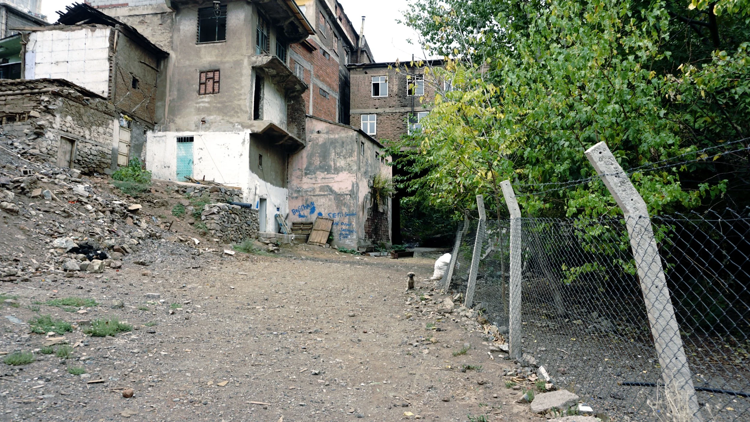 221107-maden-han ve kopek.jpg