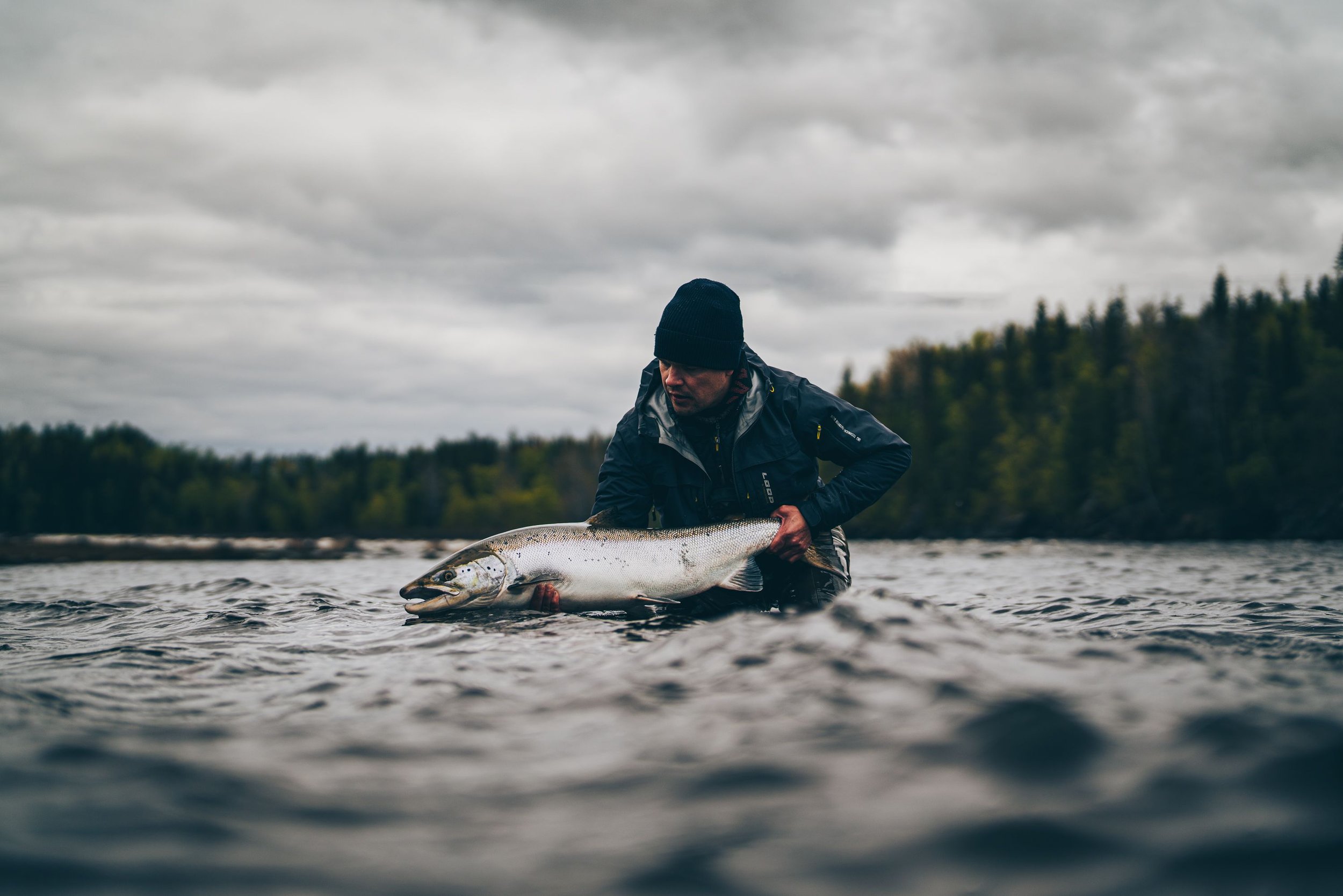 Season recap 2023 — Kengis Bruk - Baltic salmon fishing in Torne  RiverKengis Bruk - Baltic salmon fishing in Torne River Private beat with a  classic fly fishing water next to the