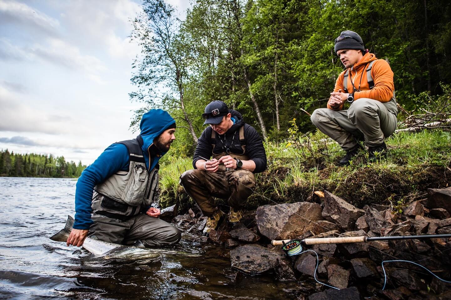 Kengis feeling 

Do you know this feeling? 

You friend with a good fish in the hand, another friend looking at the fly that made the difference and another friend waiting to celebrate with you. 

In the end a lot is about the friendship between thet